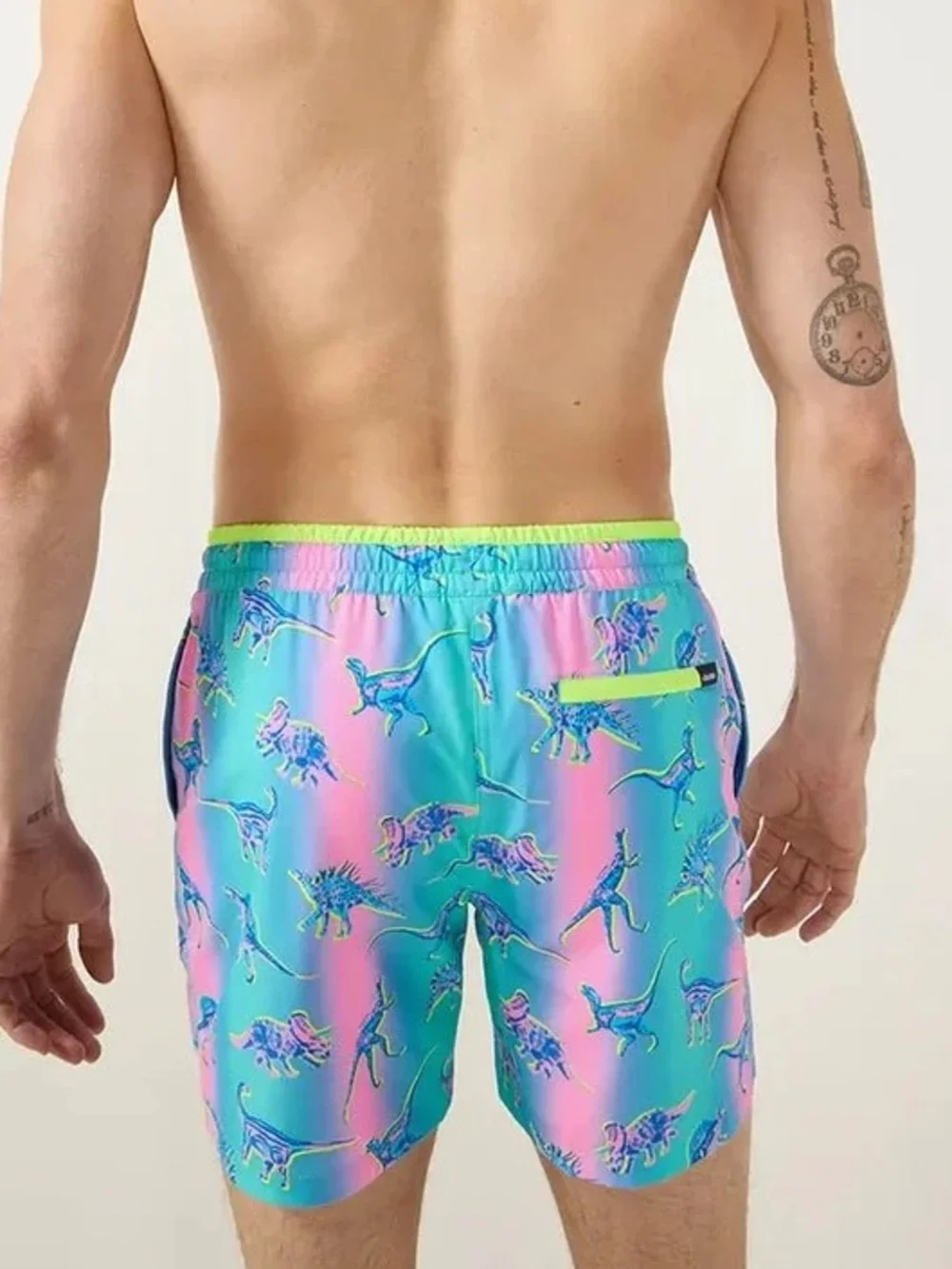 Chubbies The Dino Delight Classic Swim Trunks 5.5” Inseam